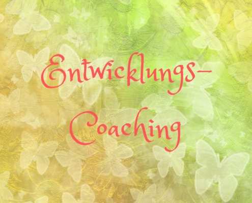 Entwicklungs-Coaching