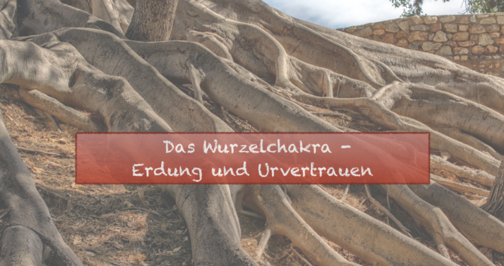 Lebensenergie Reloading Titelbilder Bereiche.007