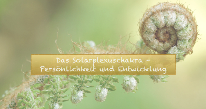 Lebensenergie Reloading Titelbilder Bereiche.009