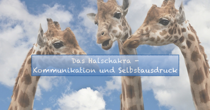 Lebensenergie Reloading Titelbilder Bereiche.011