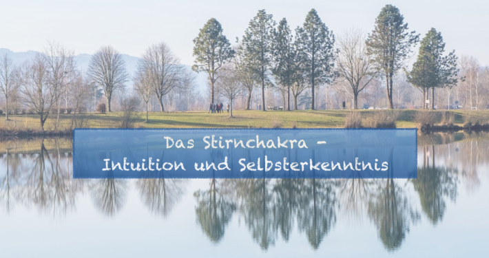 Lebensenergie Reloading Titelbilder Bereiche.012